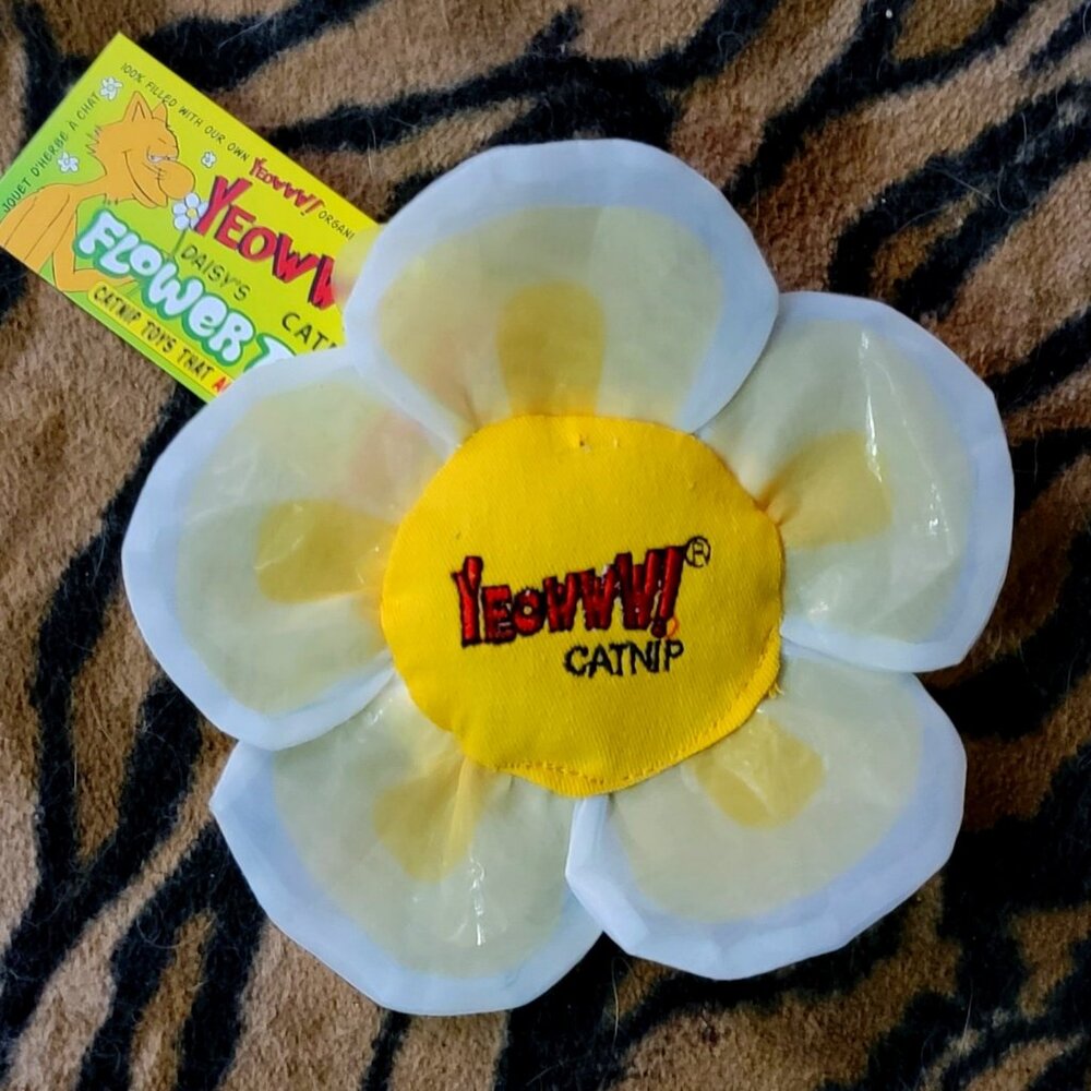 Cat Toy Yeoww Crinkle Cat Nip Flower White Kitten Luv!! New!